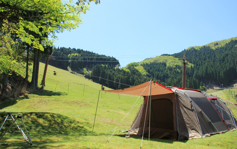 若杉高原おおやキャンプ場に張られているテントの画像