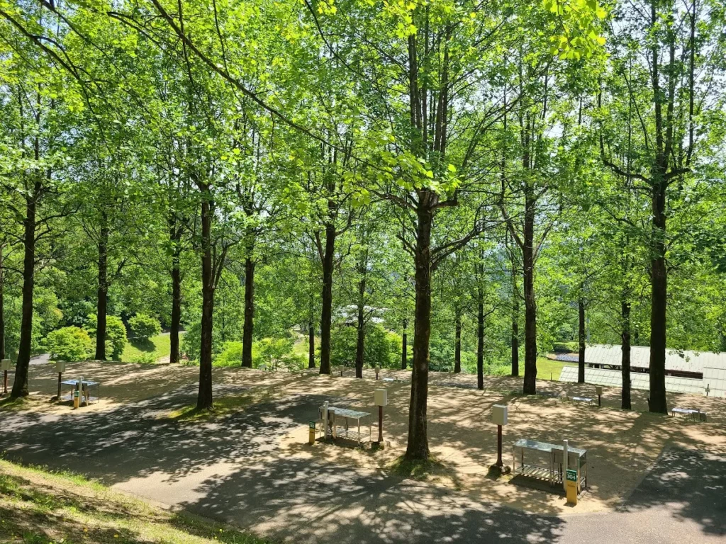 湯の原温泉オートキャンプ場の木漏れ日が差し込むテントサイトの画像