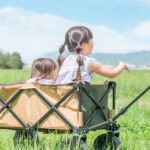 緑の野原でアウトドアワゴンに乗り、遠くの景色を指さしている二人の女の子