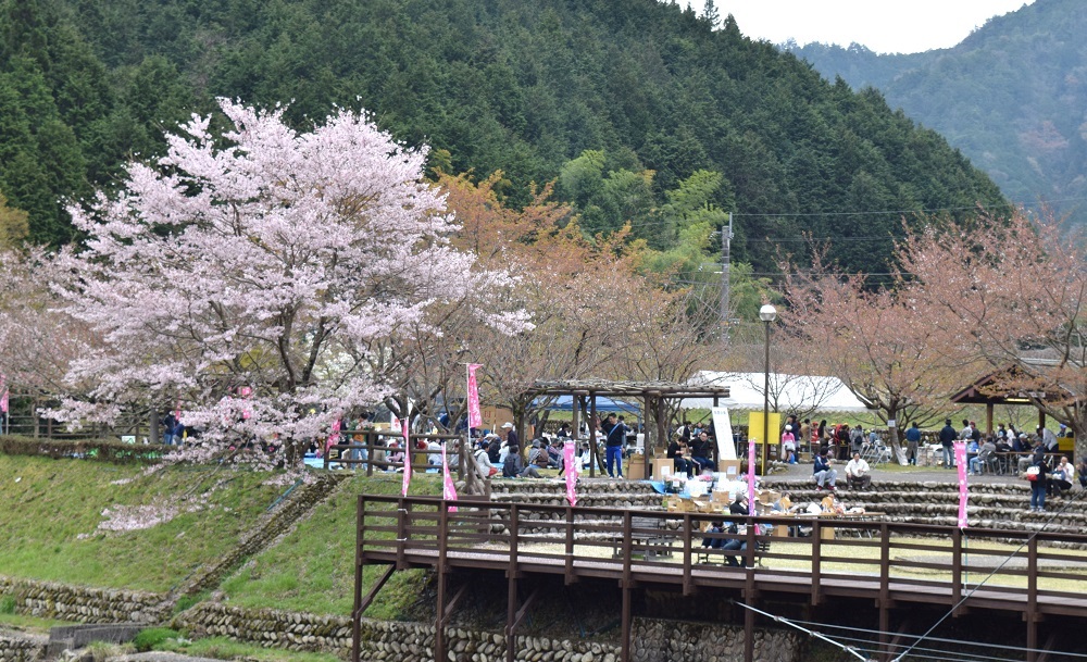 川代公園キャンプ場